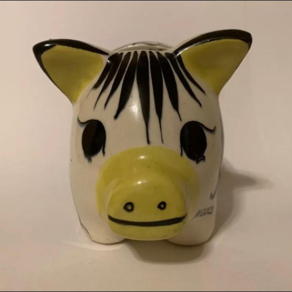 Mexico Piggy Bank- Beautiful Floral Design